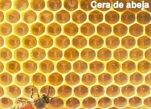 cera-abejas-2